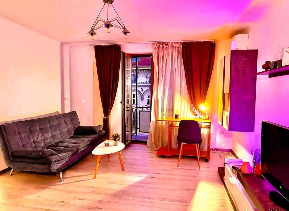 Joy City Stay Victor Babes 14 - B&B Timisoara