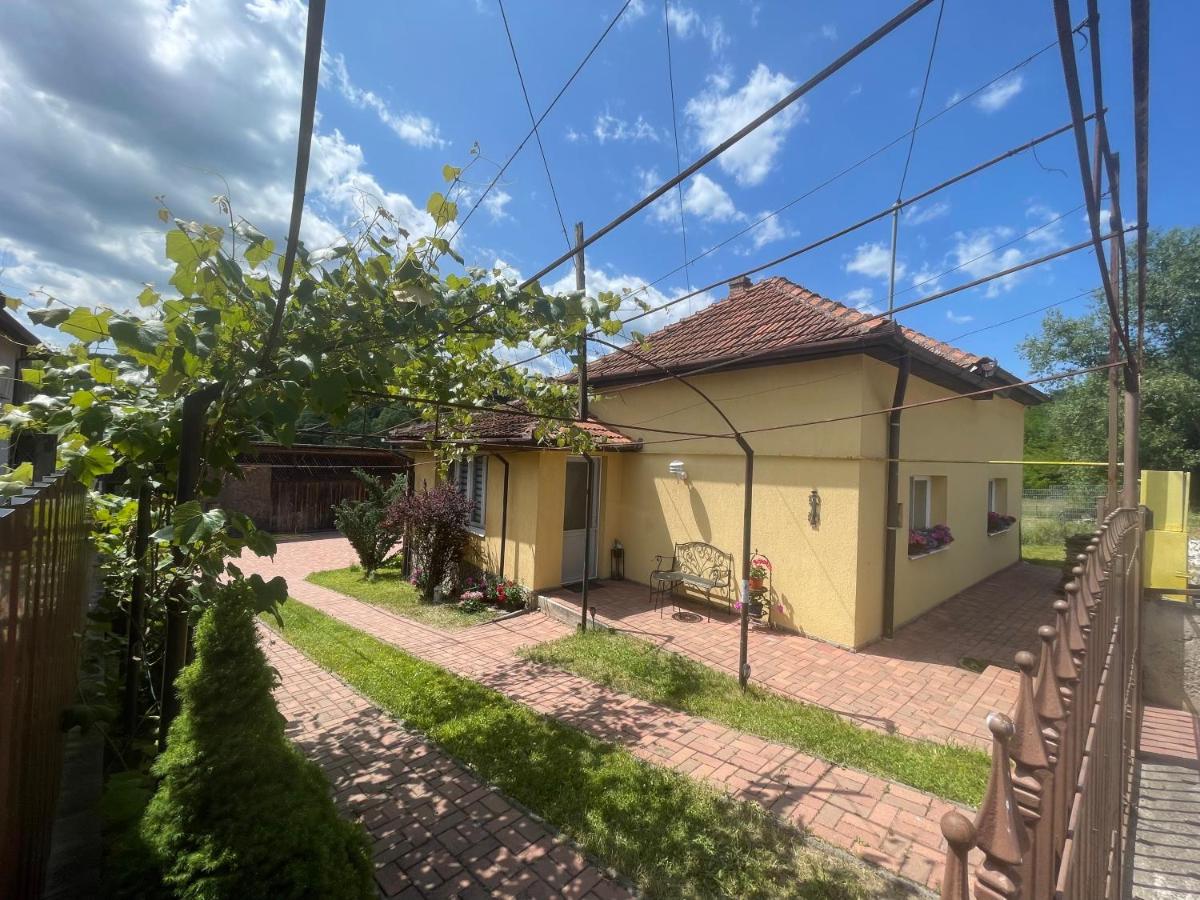 Grandpa's House in Hateg - Bed and Breakfast Haţeg