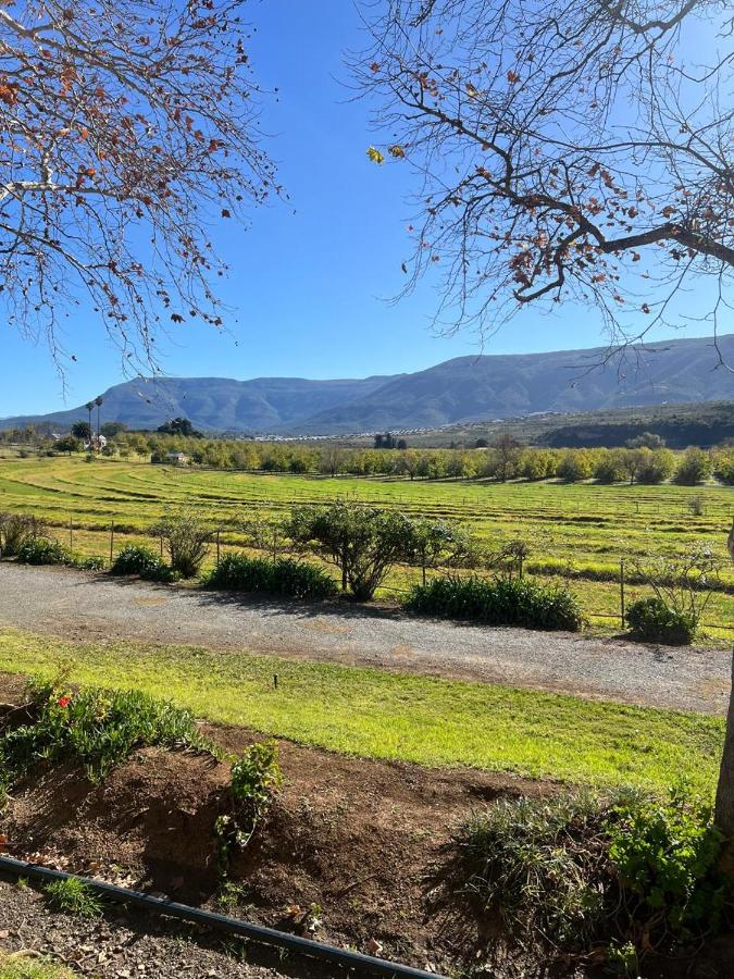 Boschberg Cottage - B&B