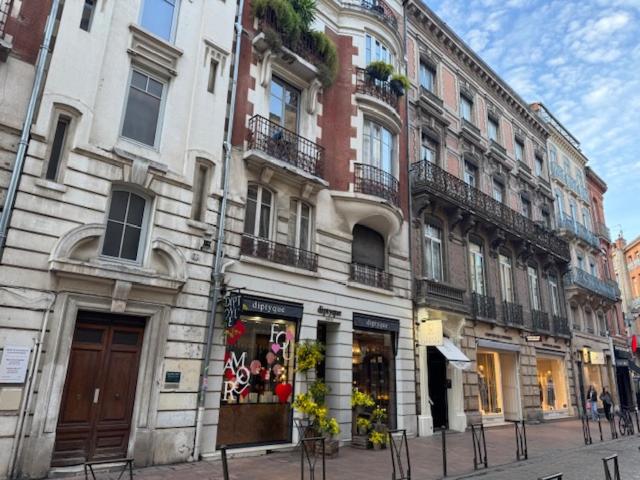Toulouse - Capitole appartement à thème - Ferienwohnung Toulouse