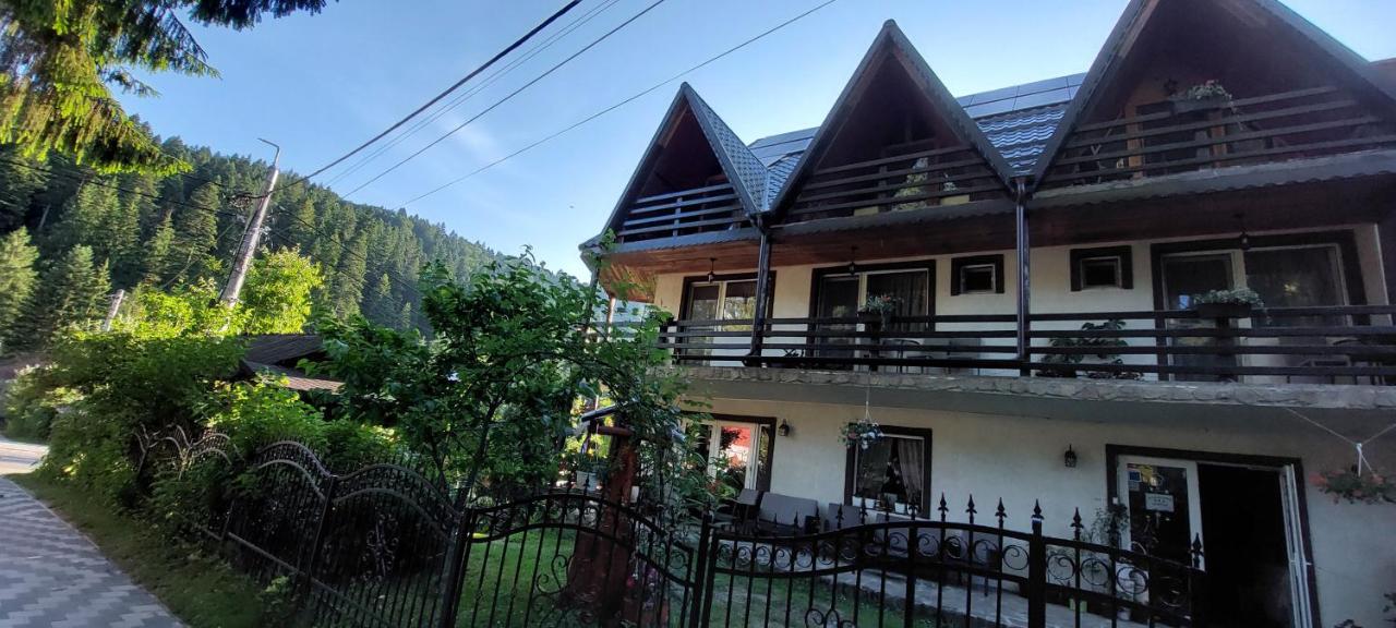 Pensiunea Montan - B&B