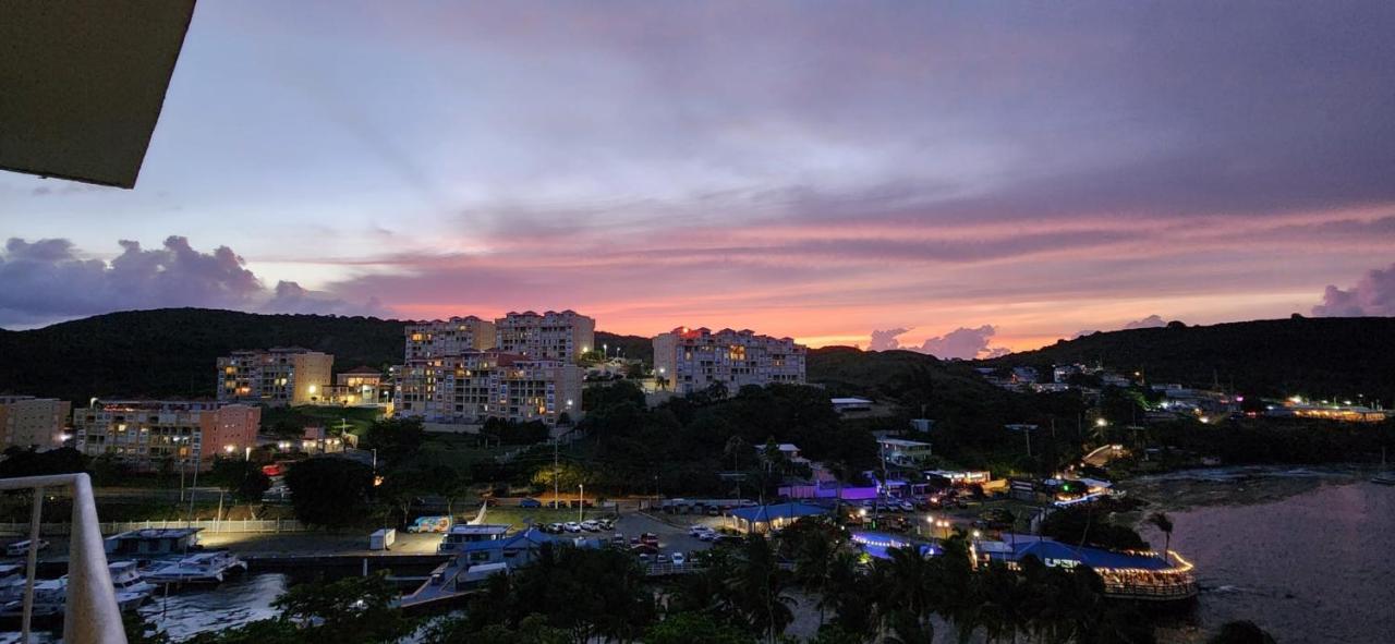 Spacious waterfront apartment, great views & more! - B&B