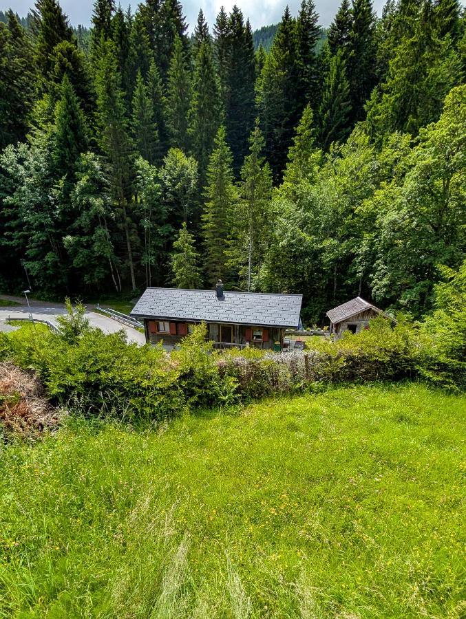 Grand chalet familial en pleine nature à Torgon - B&B