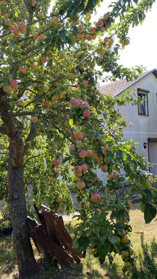 Fischer un sin Fru - B&B Klein Zicker