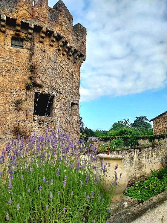 Maison Tyto Alba - B&B