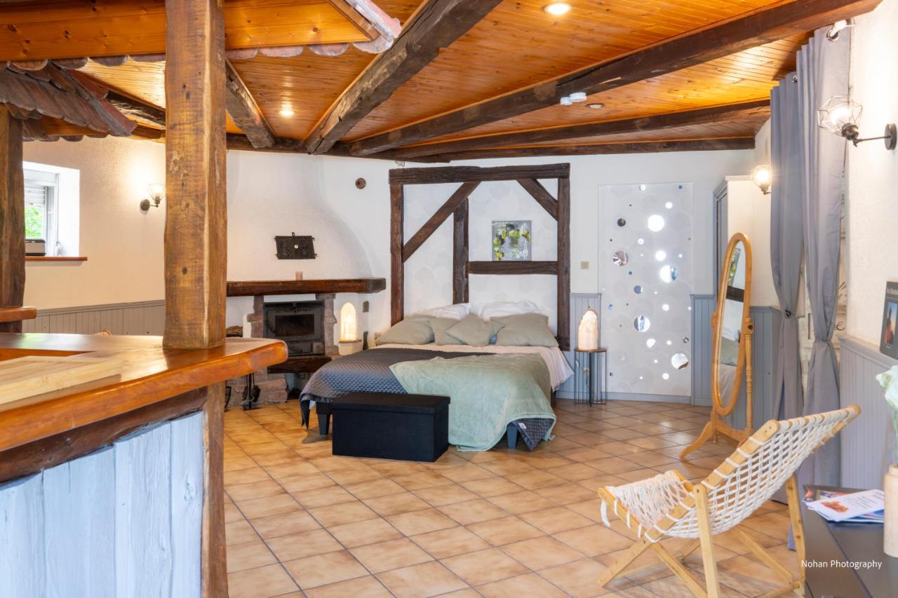 Chalet du Rhin, le coin de Mut en Alsace proche Europa Park - B&B