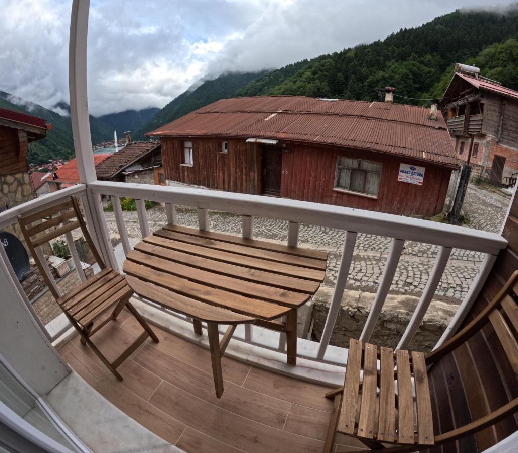 Appartement 1 Chambre