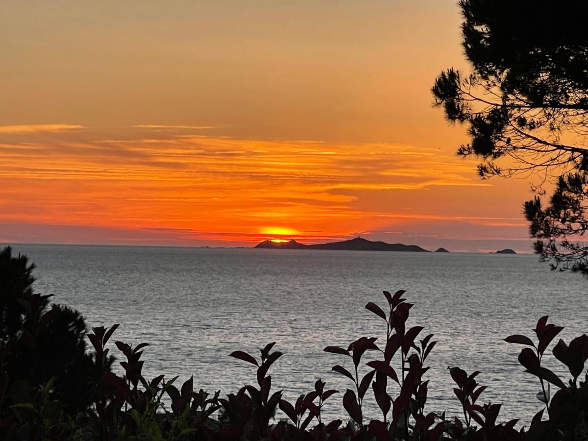 Costa di fiori - B&B Coti-Chiavari