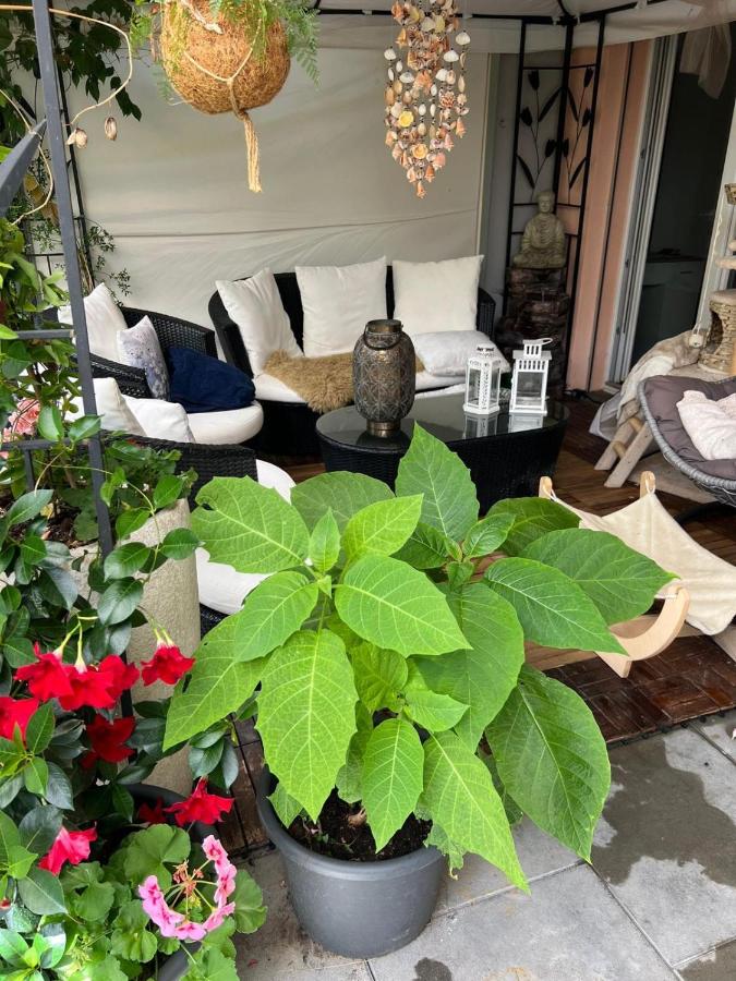 Daianas Corner - B&B Elgg