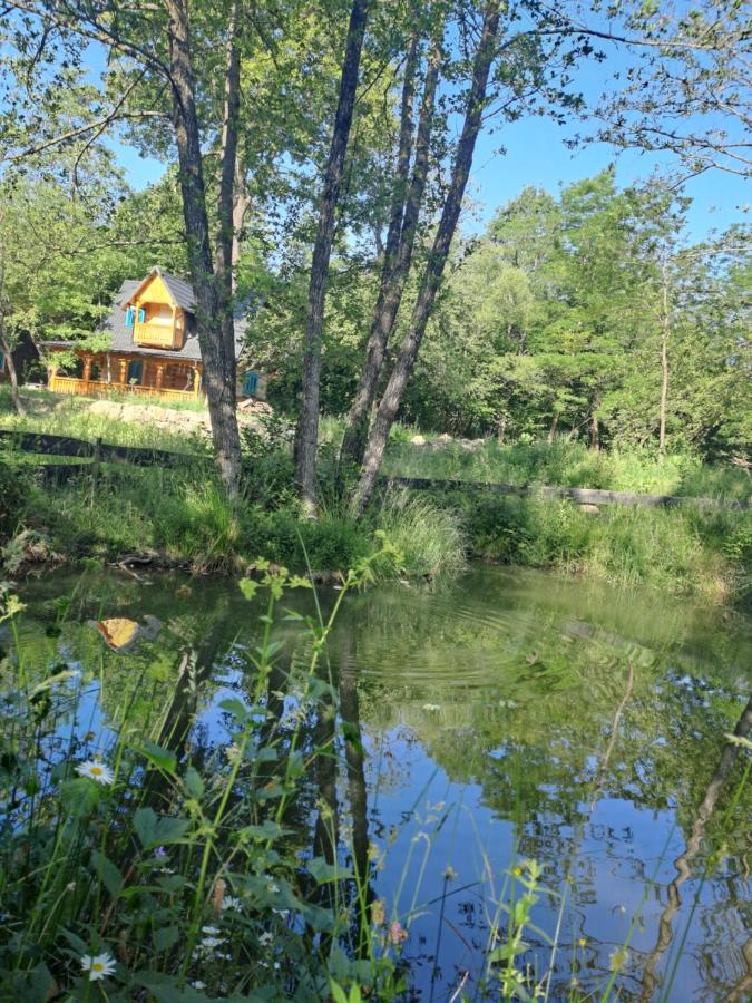 Casuta din padure - B&B Breb