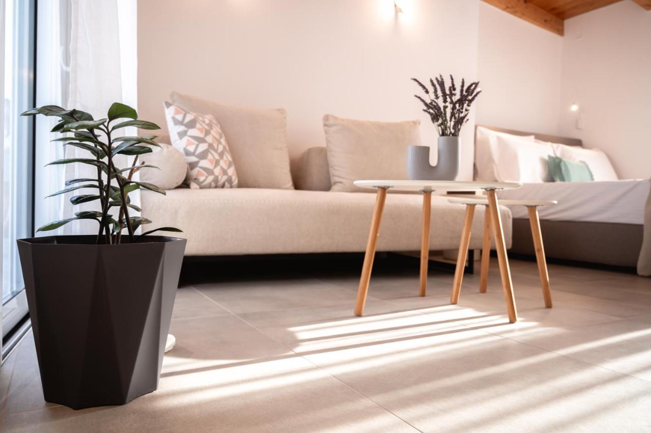 Studio with Terrace