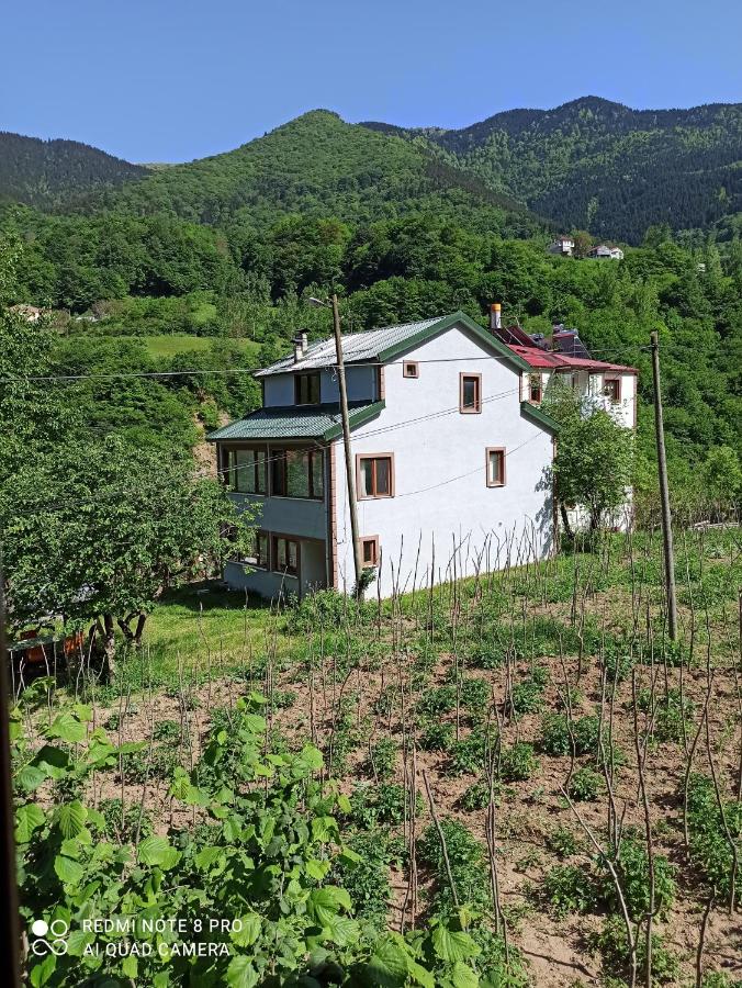Hamsiköy Vadi Konaklama - B&B Maçka