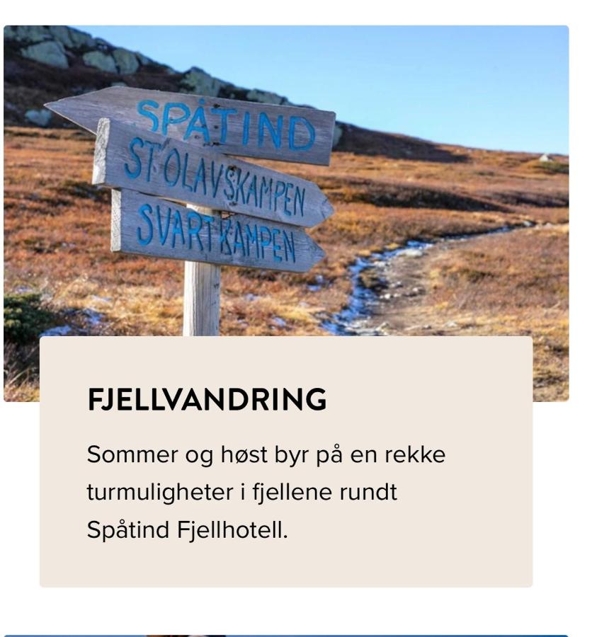 Leilighet til leie på Synnfjellet - Ferienwohnung Lii