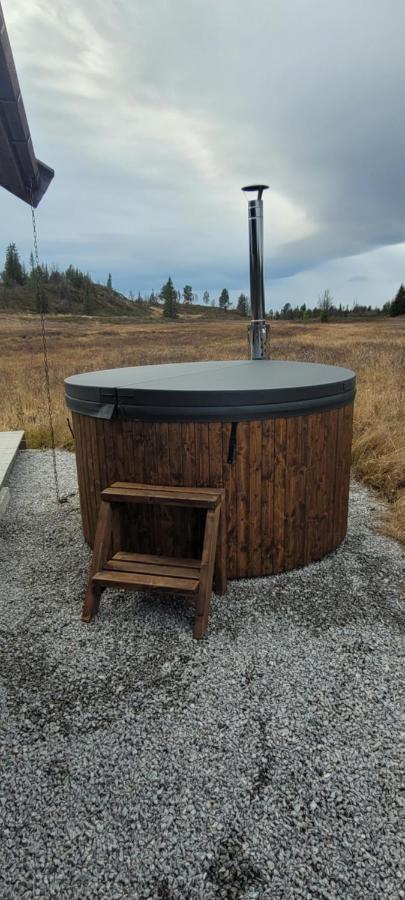 Luxury Mountain Cabin Modern and Stylish - Bed and Breakfast Oppheim