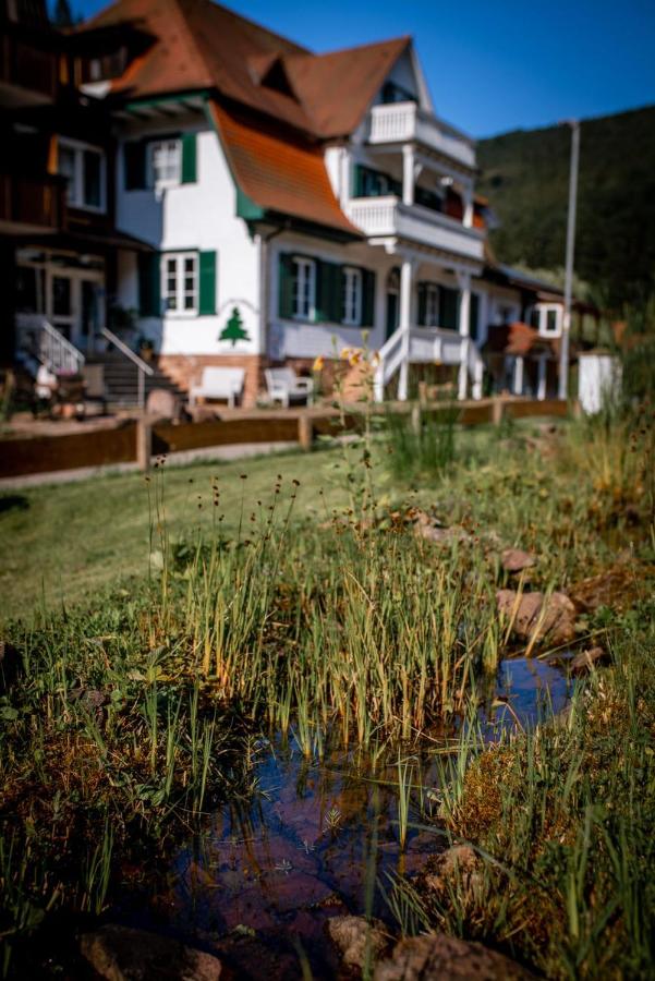 Waldquelle Vital Gästehaus - Chambres d’hôtes Eberbach
