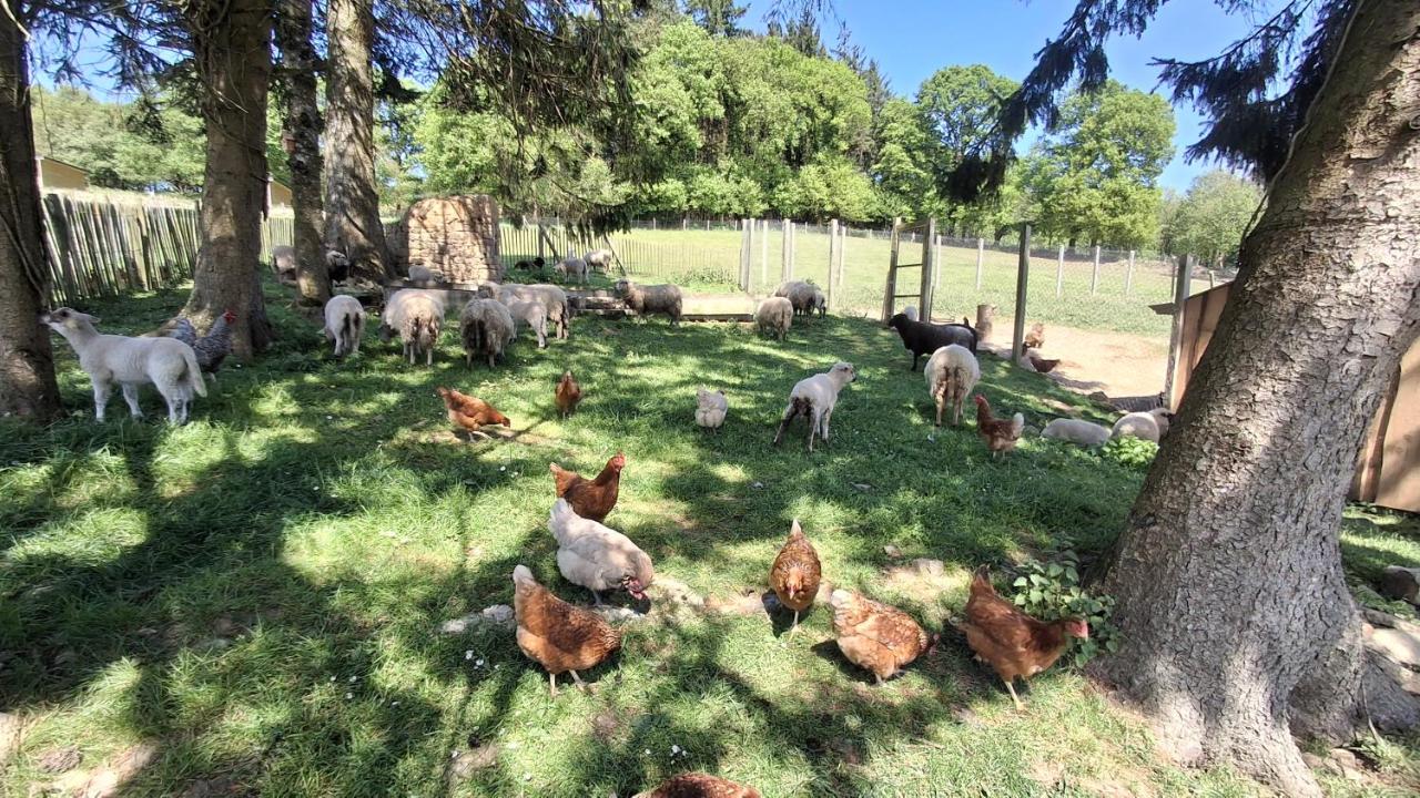 La ferme de beau soleil Gîte et cabanes - B&B