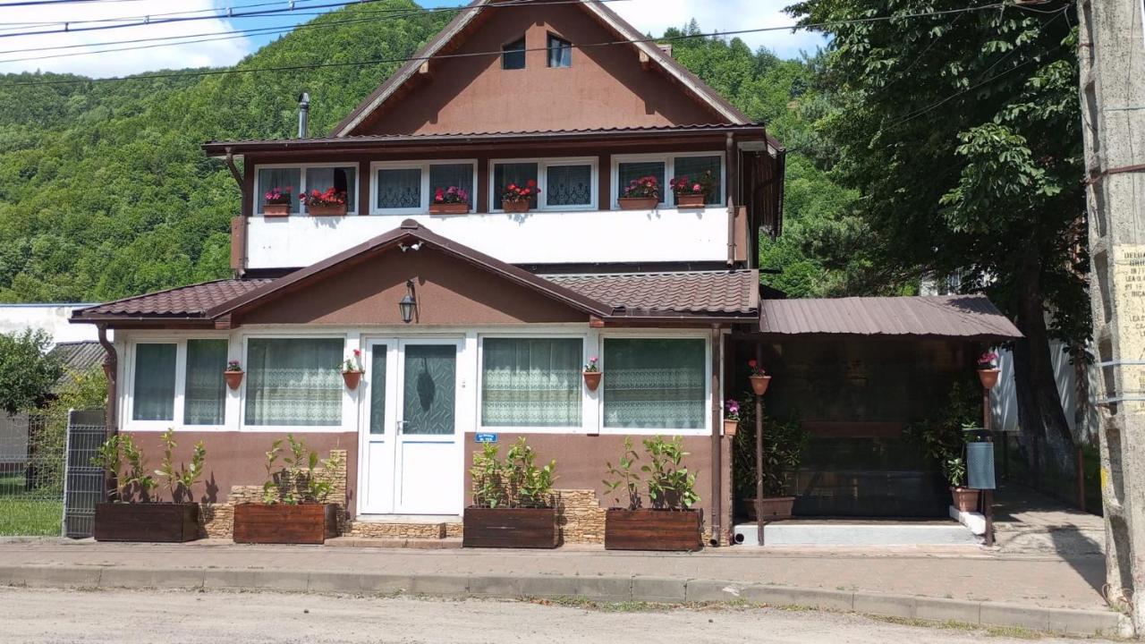 David House - B&B Bicaz