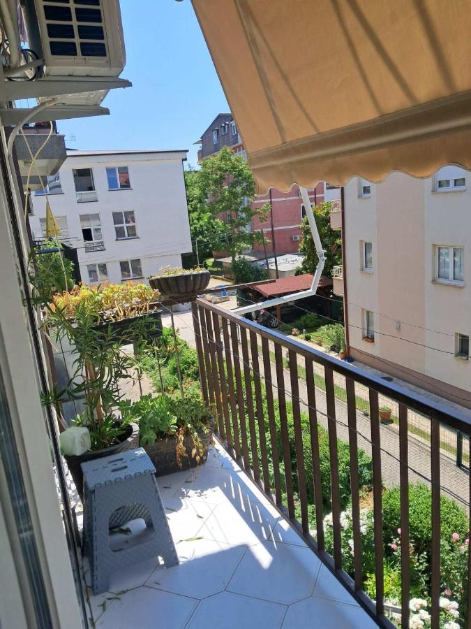 Avocado Apartment - Bed and Breakfast Ohrid