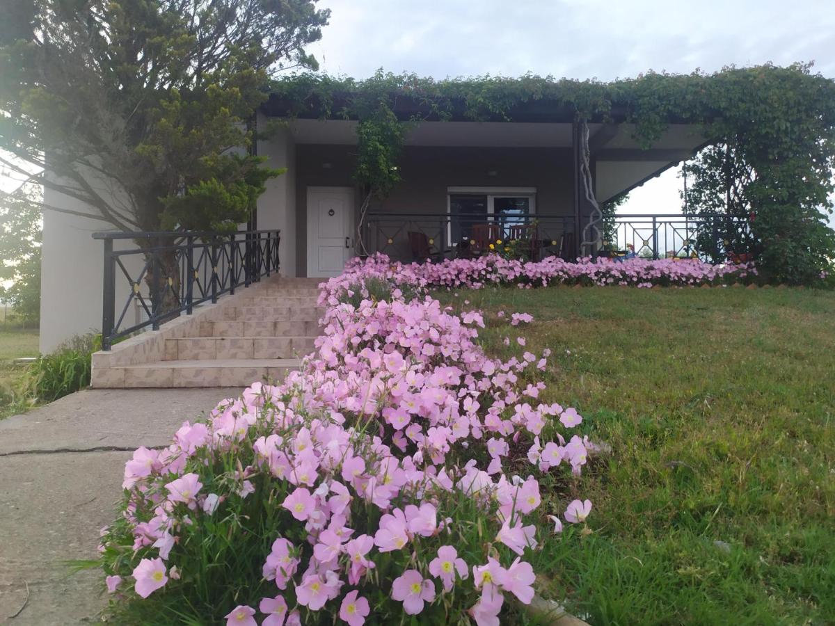 Hill View 4 - B&B