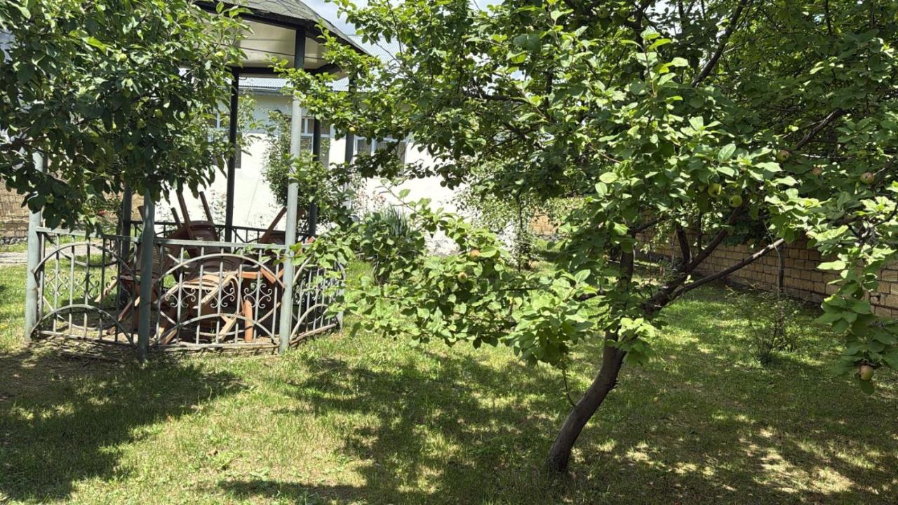 Qəbələ 755 - B&B Gabala