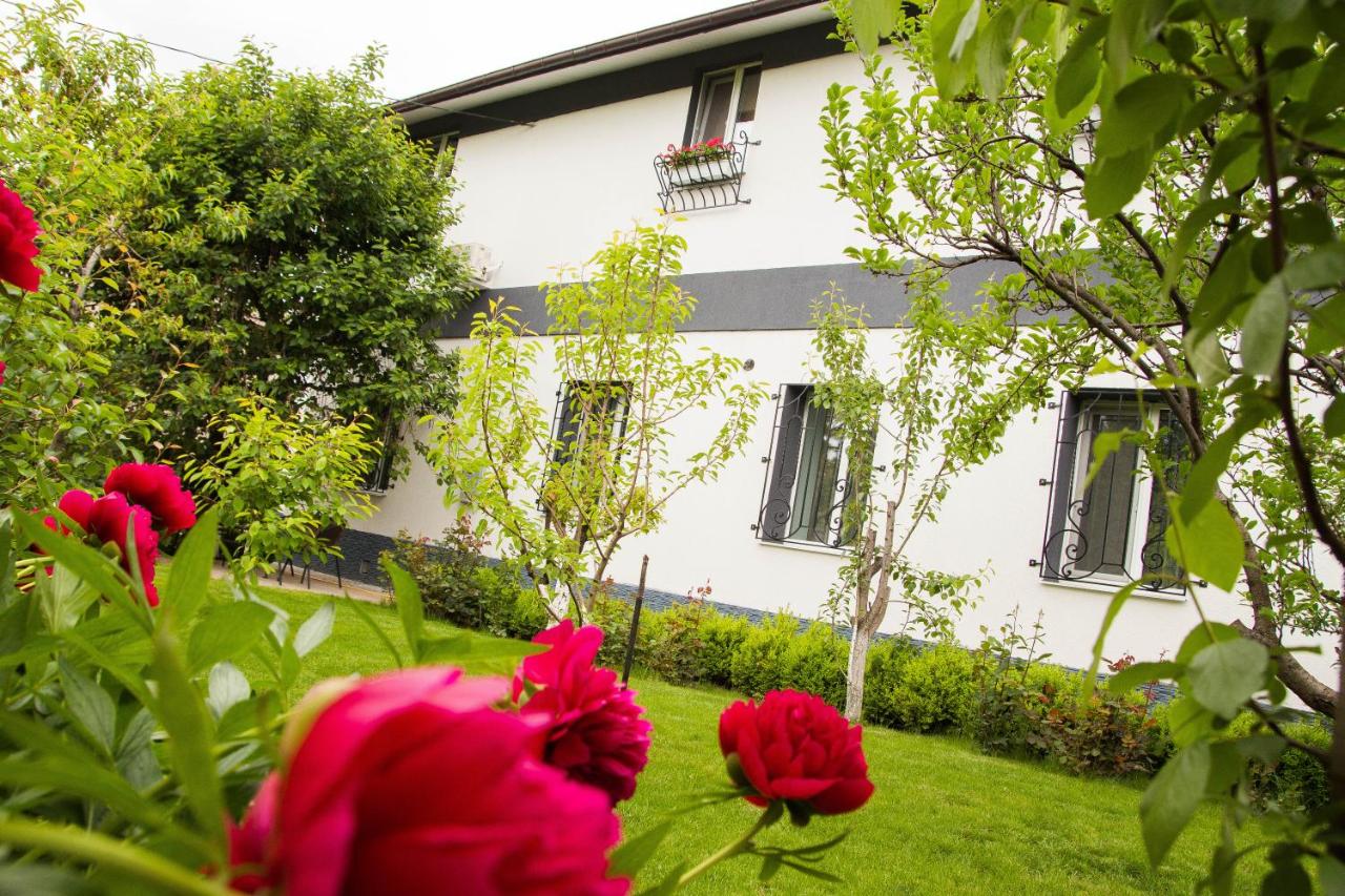 Yuzhniy Dvorik - Bed and Breakfast