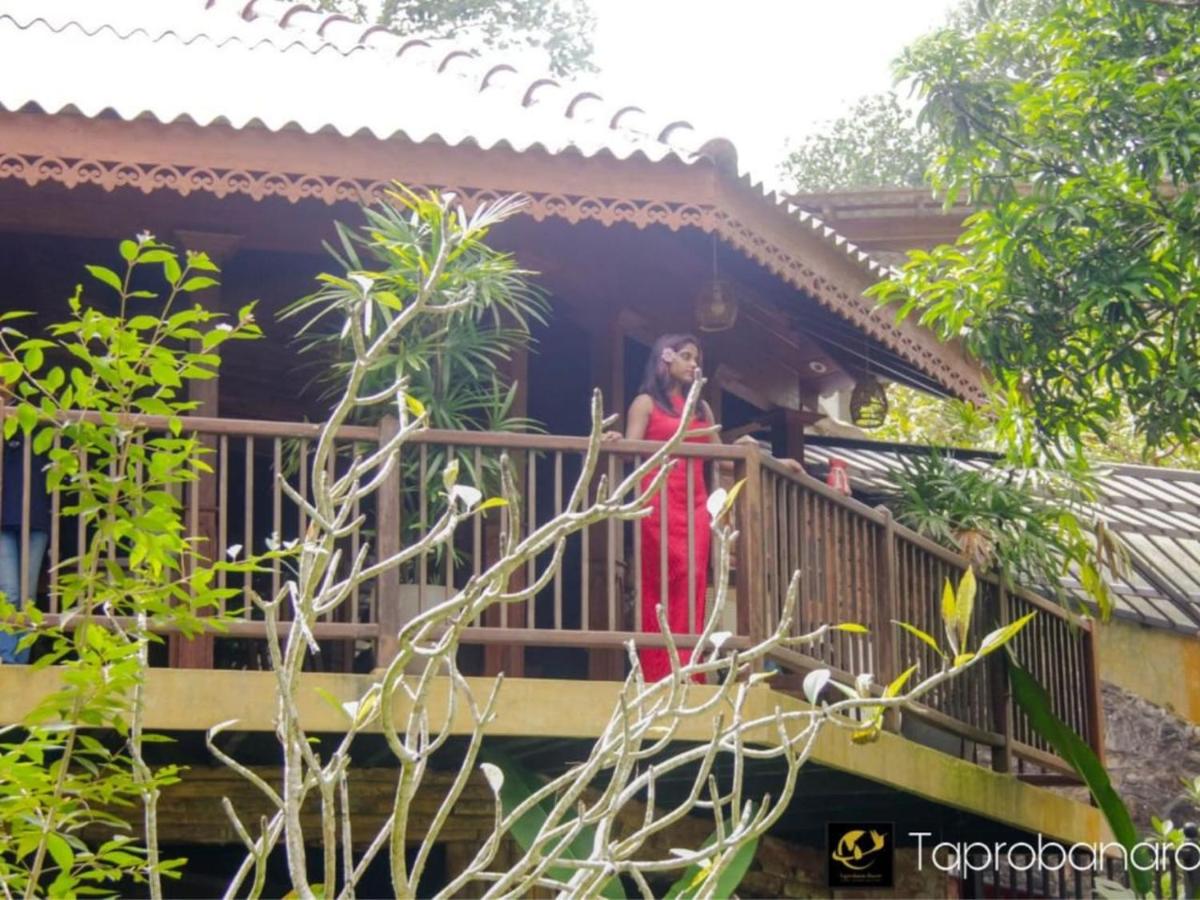 The Thotupola Habaraduwa - Ferienwohnung Unawatuna