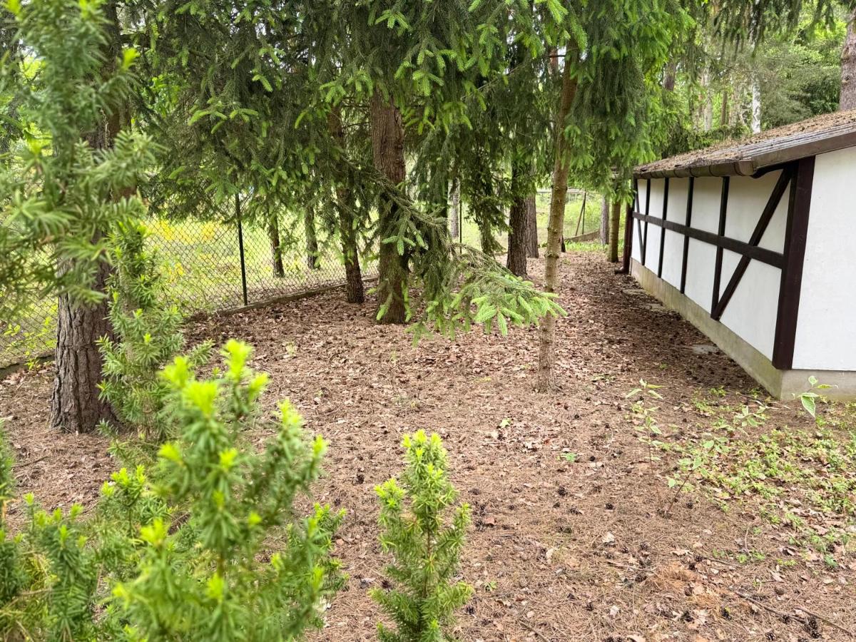 Chatka Poddębie - B&B