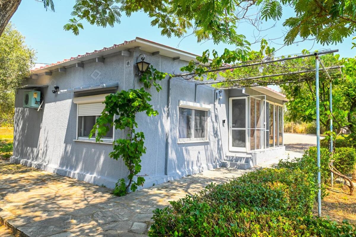 Carpe Diem Family House - B&B Alexandroupoli