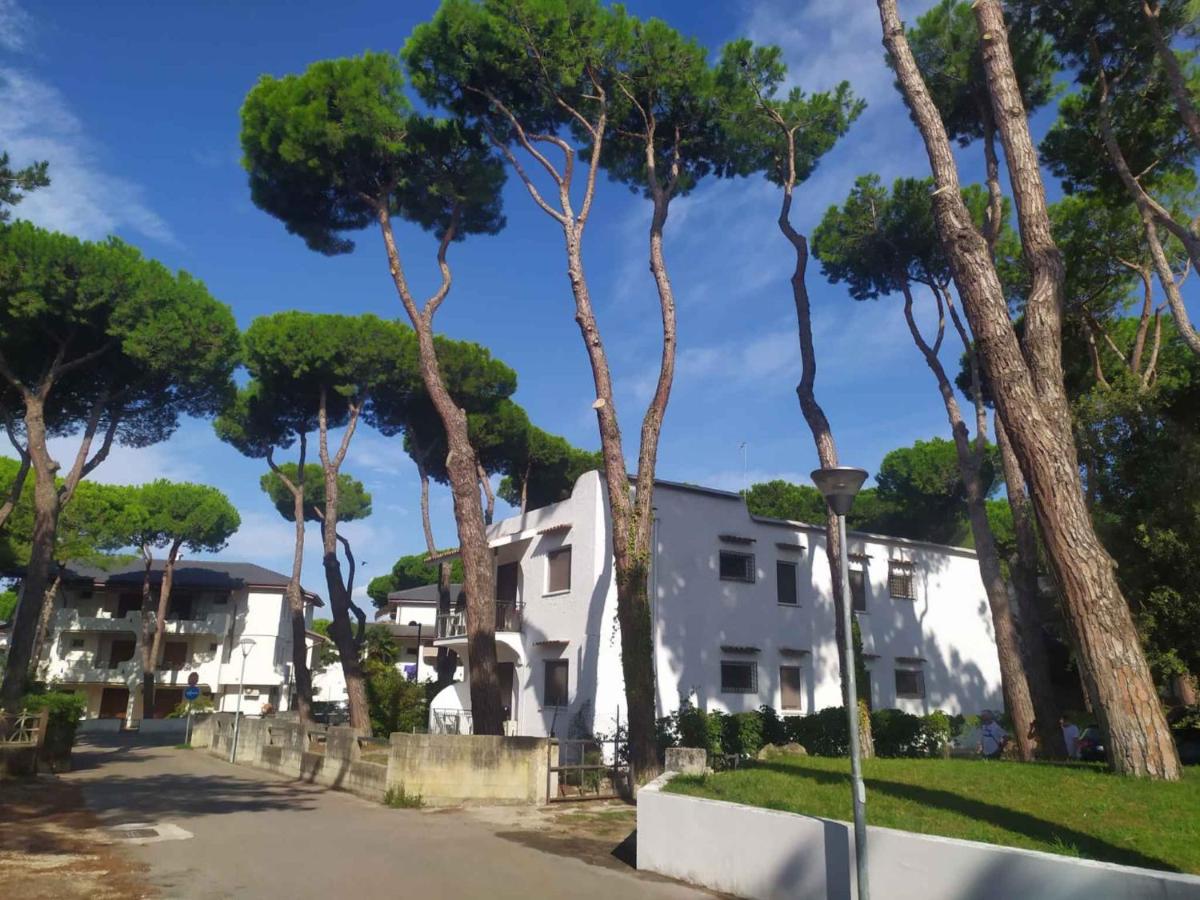 Apartments in Rosolina Mare 25084 - B&B