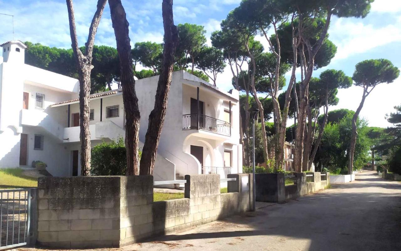 Apartments in Rosolina Mare 25084 - B&B Rosolina Mare