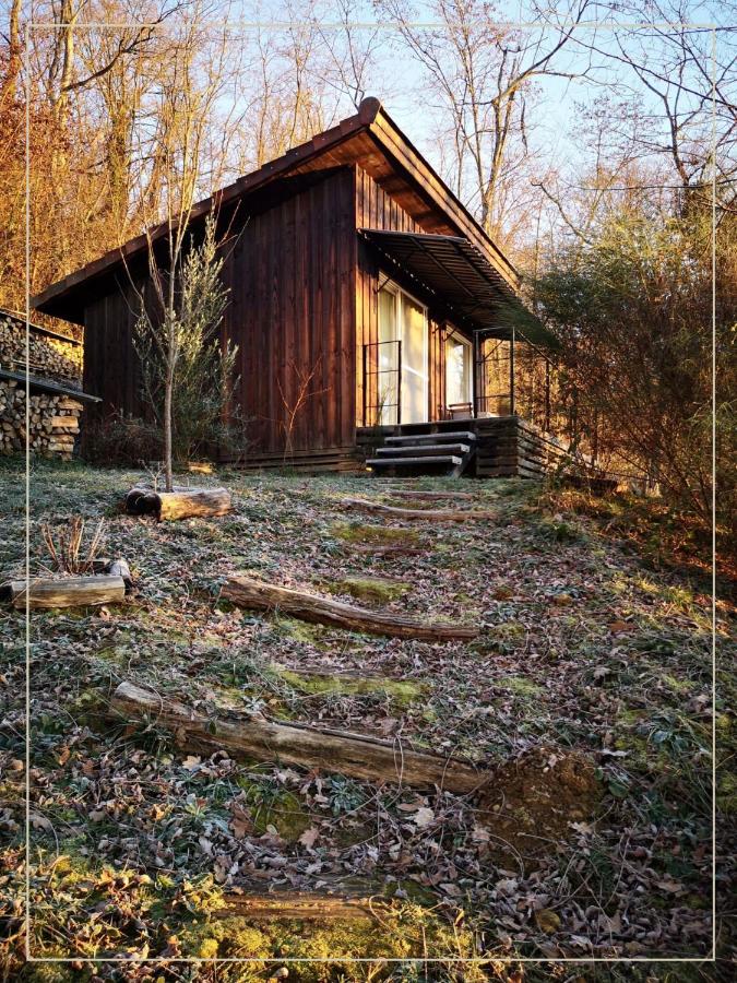 Studio with Mountain View