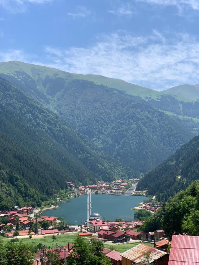 Auga Apart - Chambres d’hôtes Uzungöl