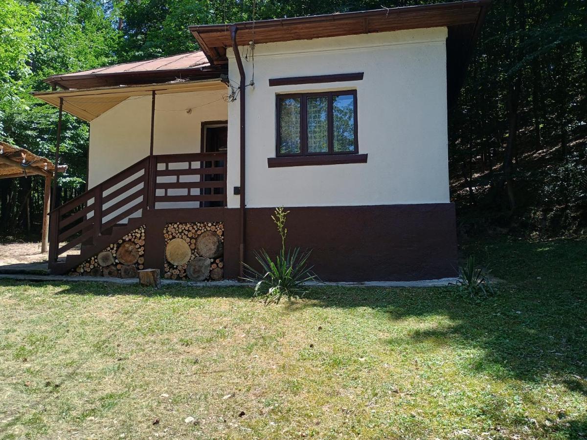 Casa Padurarului - B&B Ocnele Mari