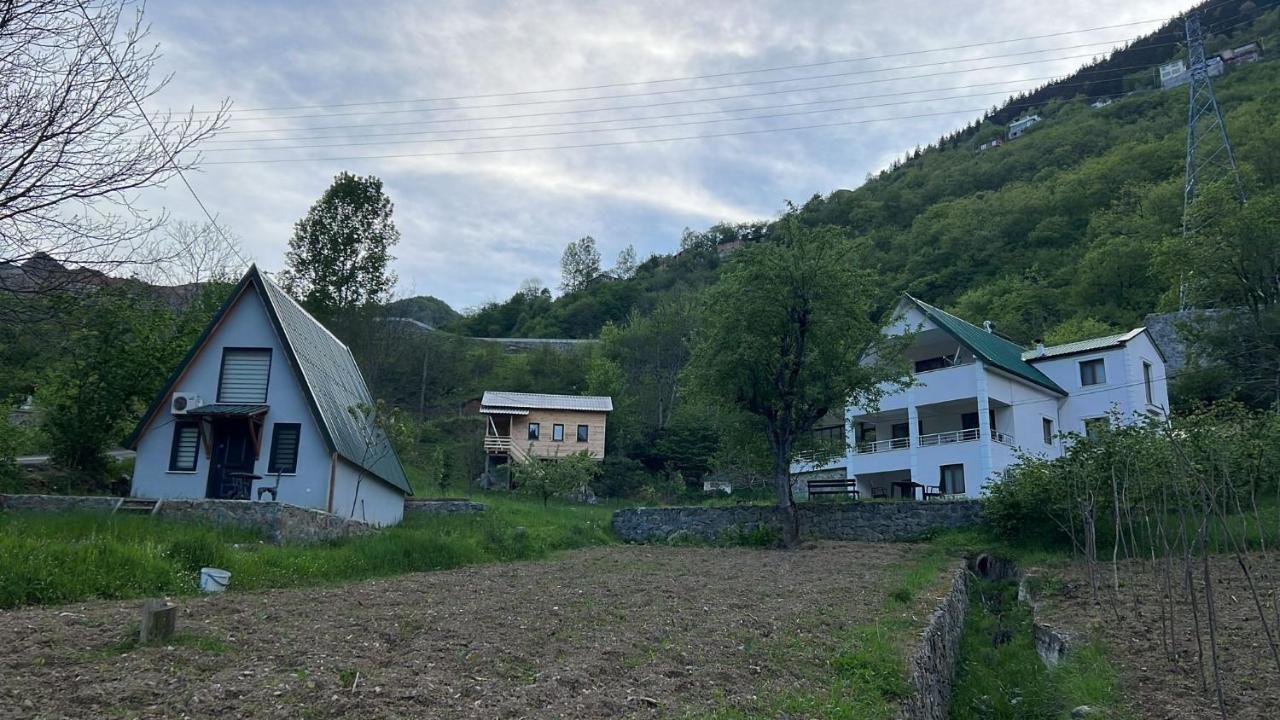 Ali's House 61 - B&B Anayurt