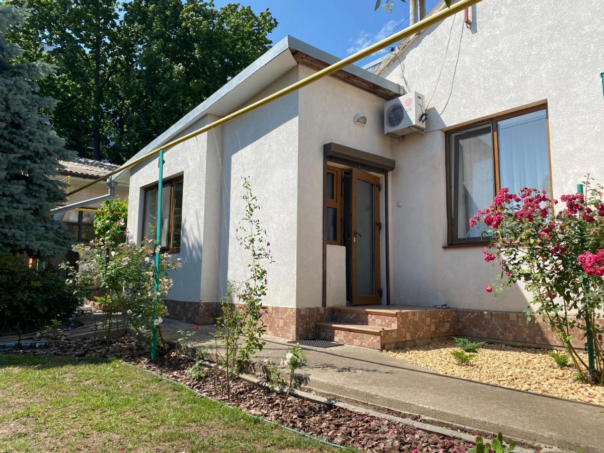 Viletta Natali - B&B Odesa