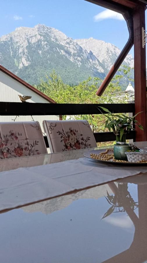 Vila Iulia Busteni - Ferienwohnung Buşteni