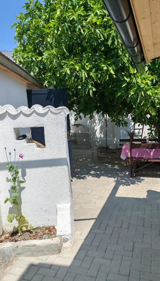 Casutadinvama - Bed and Breakfast Vama Veche
