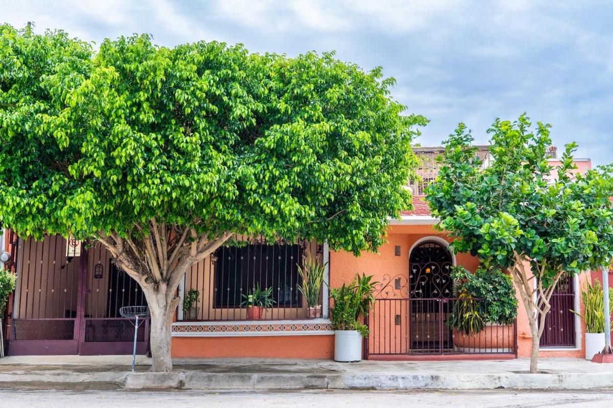 La casa de las flores - B&B Mérida