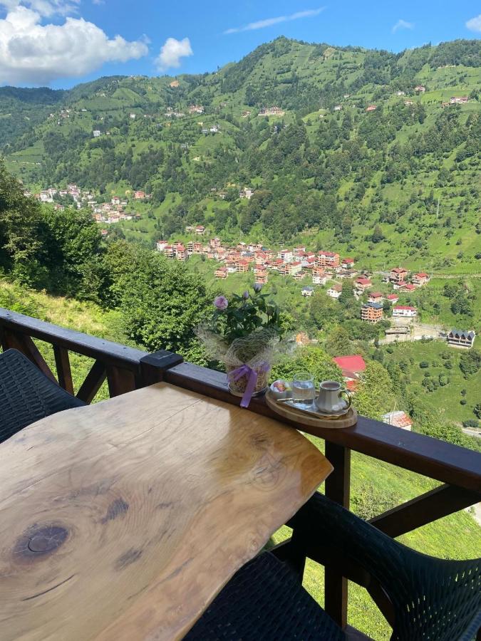 Armavor Bungalov - Bed and Breakfast Çamlıhemşin