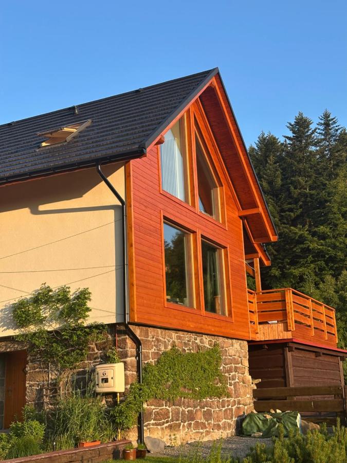 ŻŁOBINA Dom - B&B Wisła