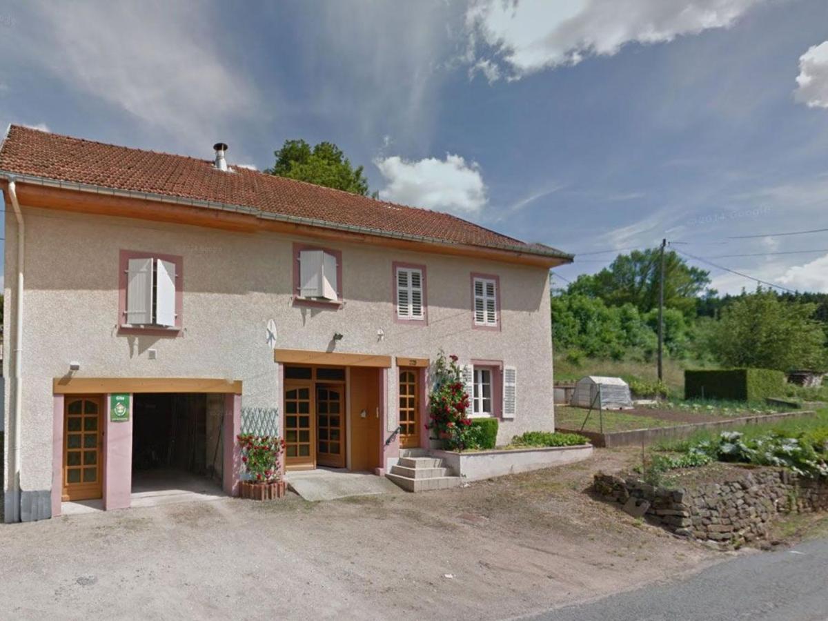 Gîte spacieux avec terrasse et cheminée près de Saint-Dié, à 28 km de Gérardmer - FR-1-589-261 - Ferienwohnung Taintrux