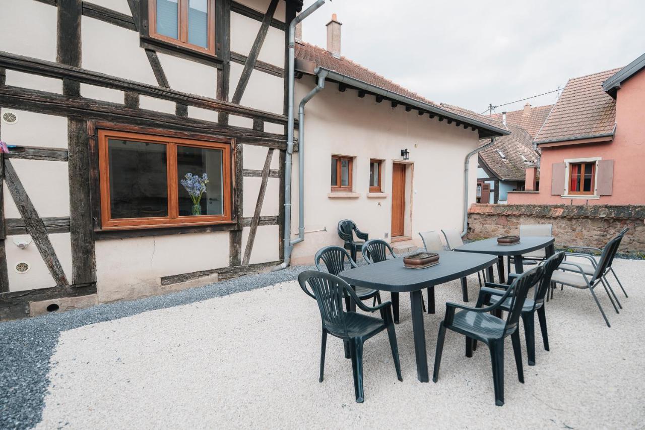 APPARTEMENT JANGO - Au Calme des Vignes - Parking privatif & Animaux Bienvenus - Ferienwohnung Dambach-la-Ville