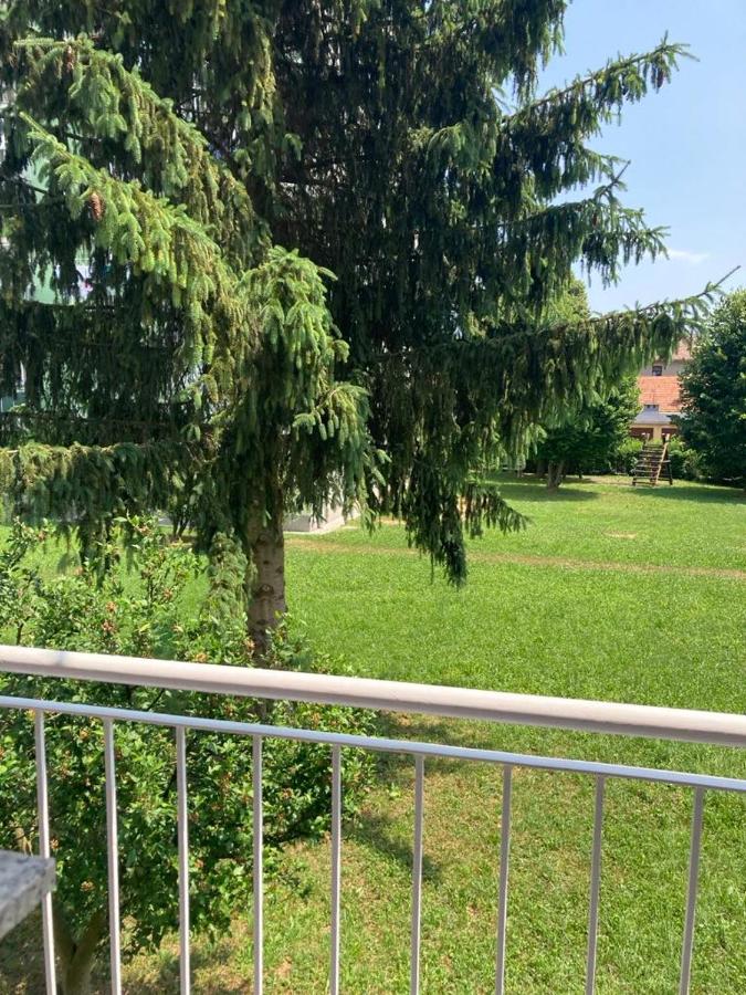 Nice apartment in Celje - B&B