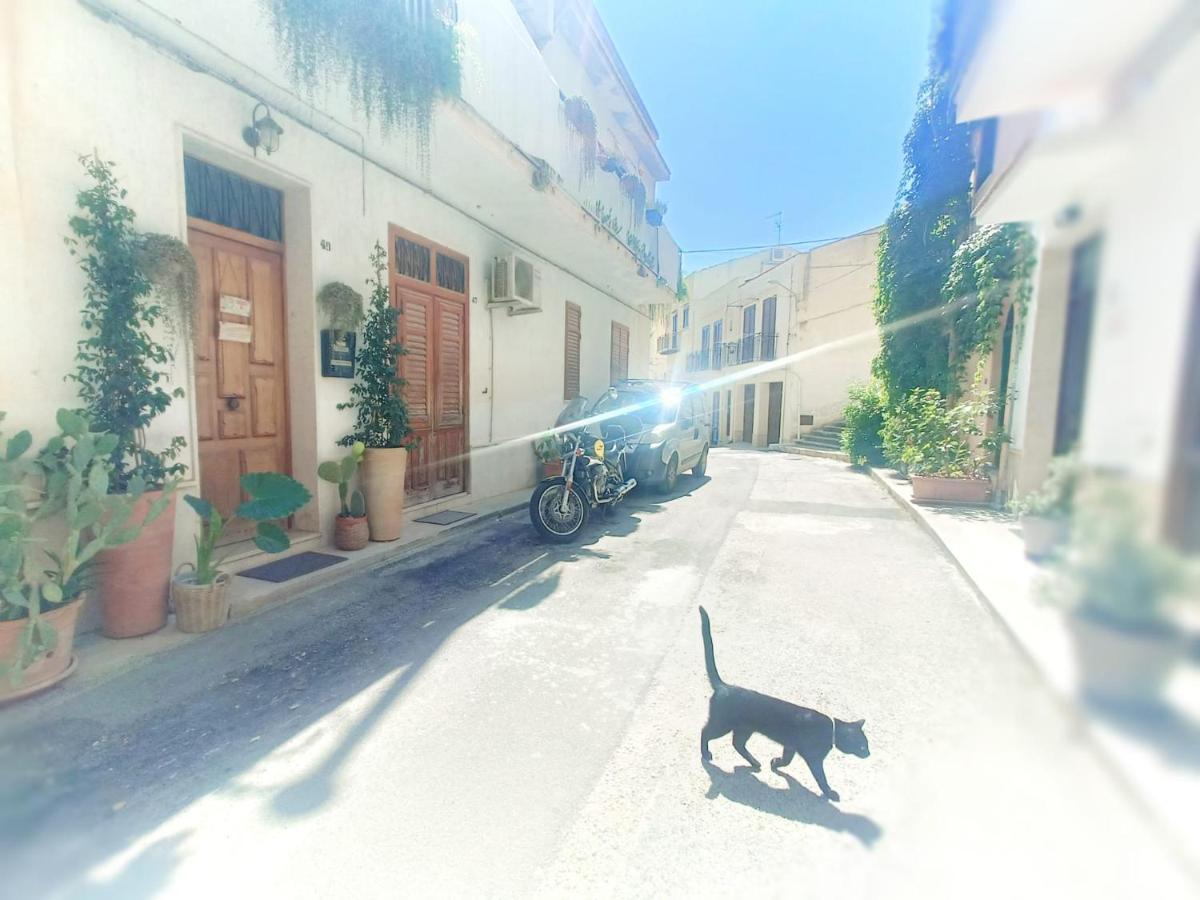 Terrammare del Golfo - Bed and Breakfast Castellammare del Golfo