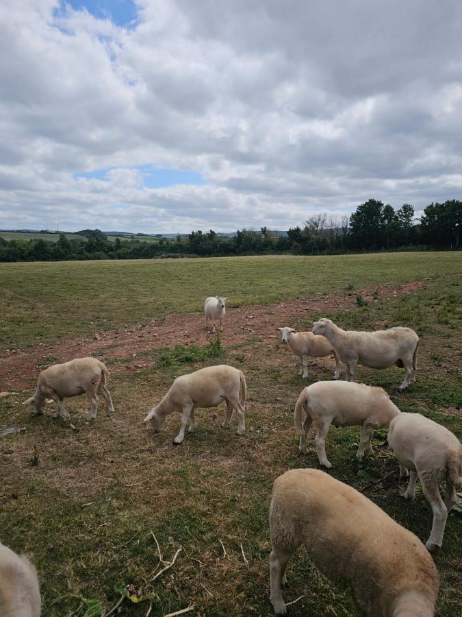 Rural Escape and Dog Friendly - B&B Nether Stowey