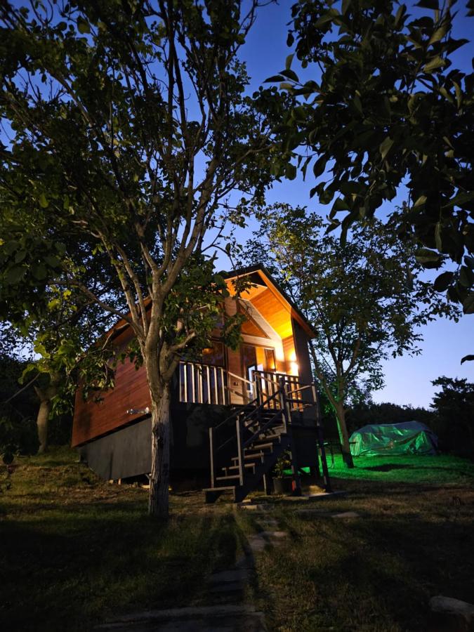 Mtskheta Chalet - B&B Mtskheta