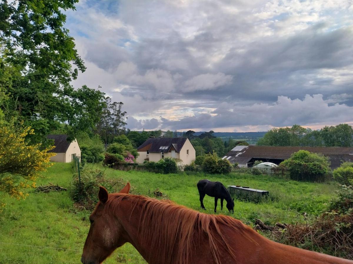 Huis met 1 Slaapkamer