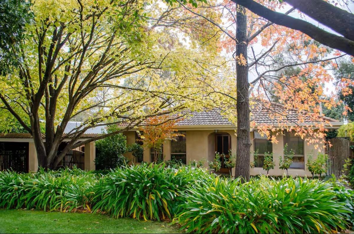 13Elizabeth - B&B Tanunda