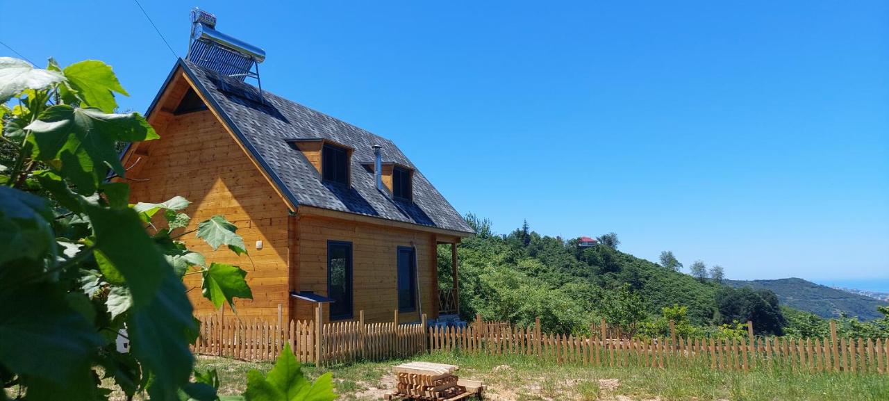 Trabzon Çamlıca Bungalov - B&B Trebisonda
