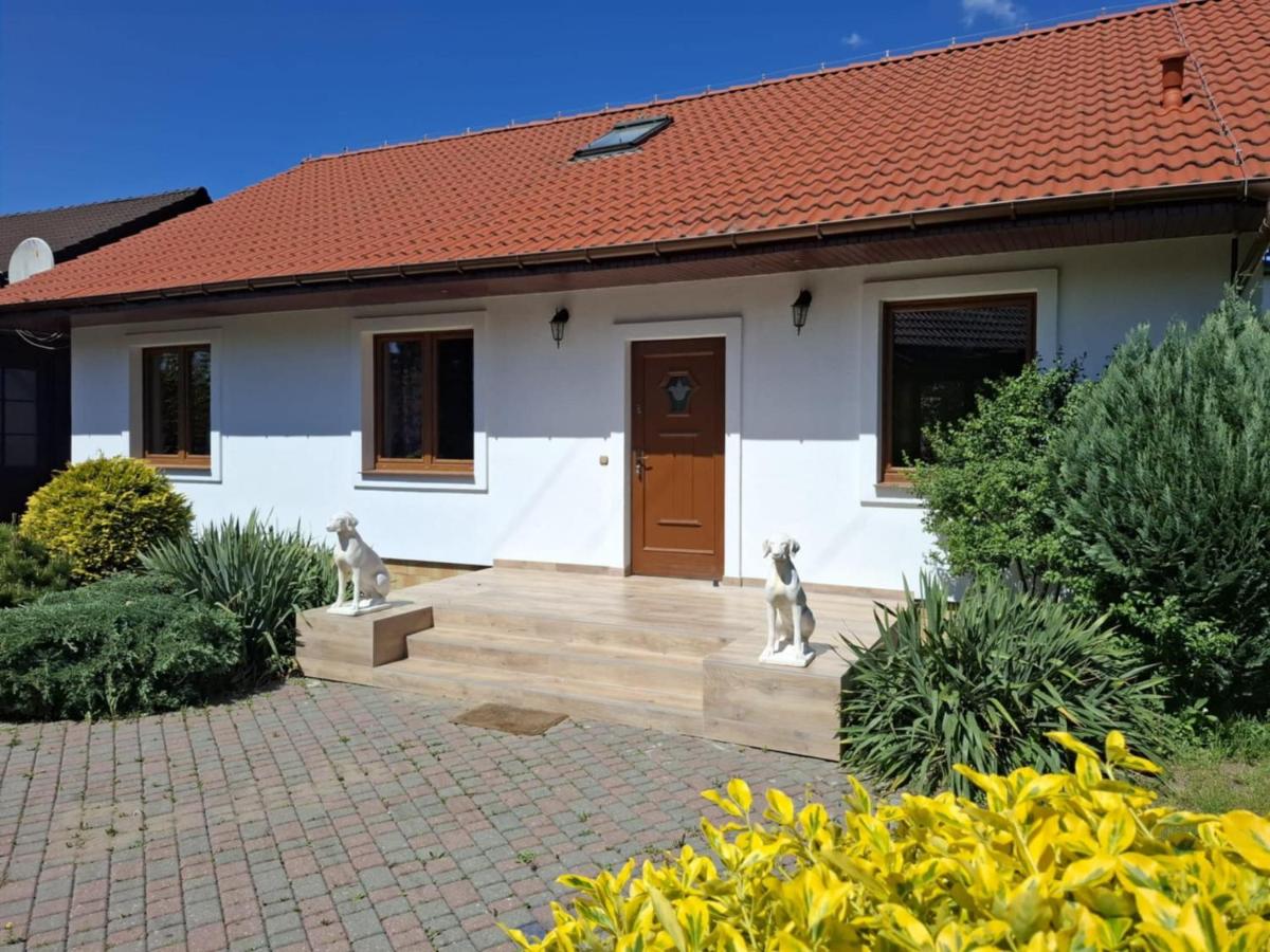 Biały Domek dla 6 osób oraz Domek Sternika dla 4 osób - jezioro, las, wiejski klimat - B&B Międzychód